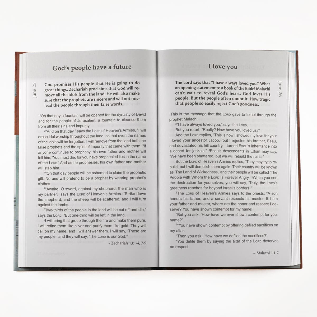 The Bible In 366 Days For Men, picture 3