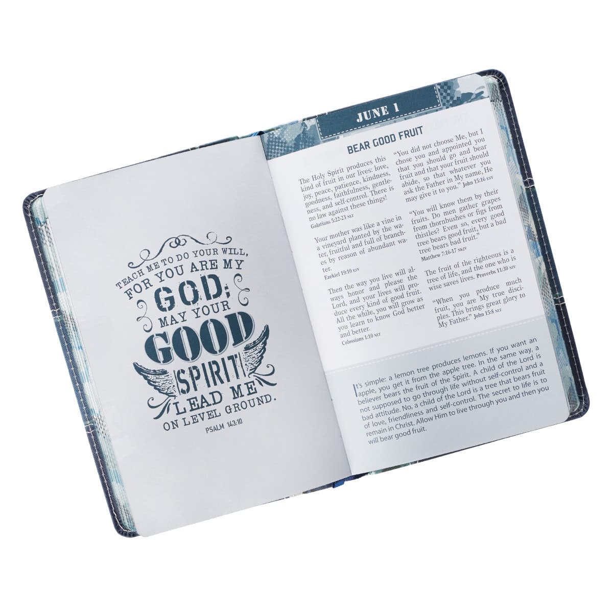 The Pocket Bible Devotional For Guys -- Book, picture 4