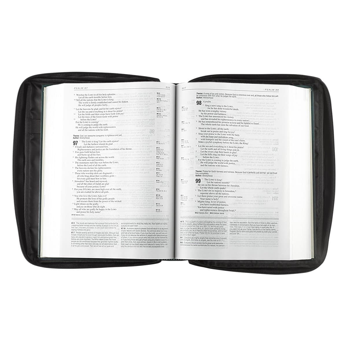 Black Poly-canvas Value Bible Case with Ichthus Patch, picture 3