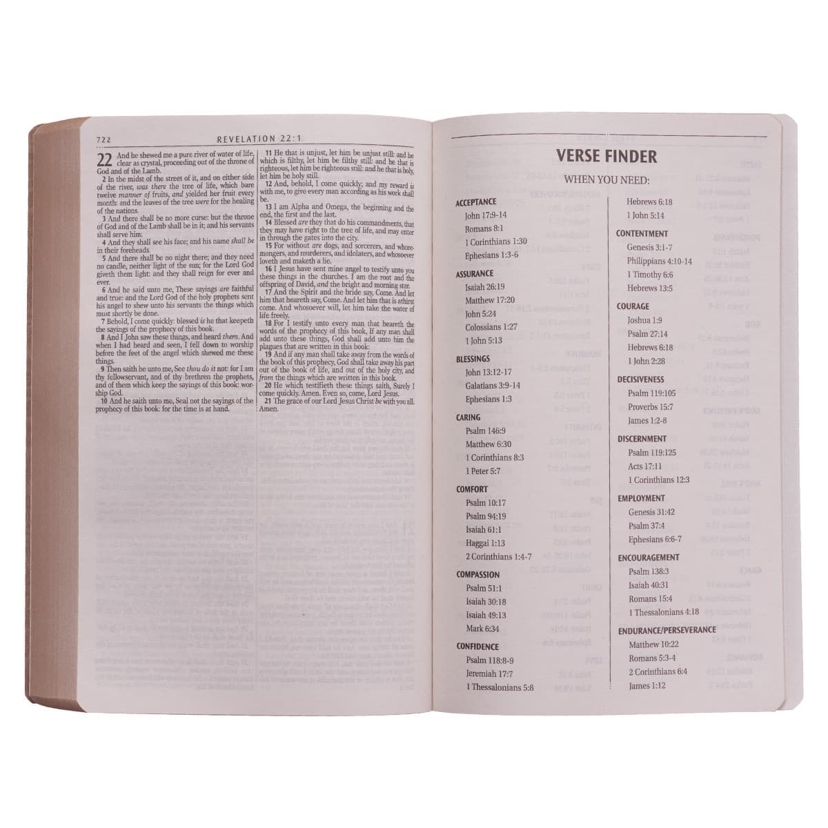 Tan Faux Leather King James Version Gift and Award Bible, picture 7