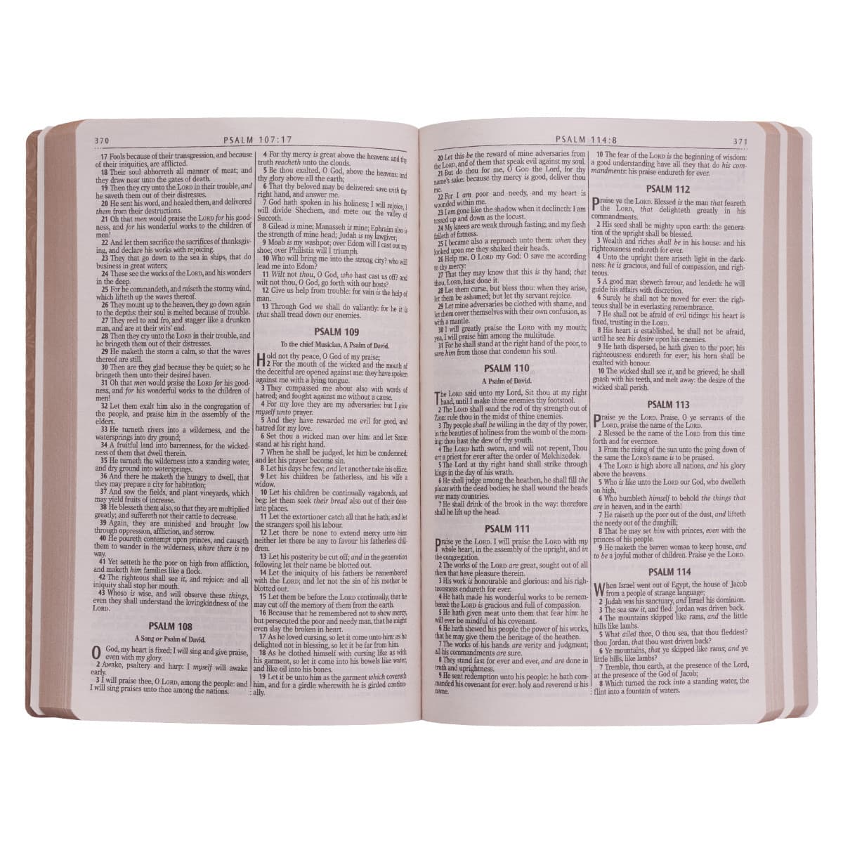 Tan Faux Leather King James Version Gift and Award Bible, picture 5