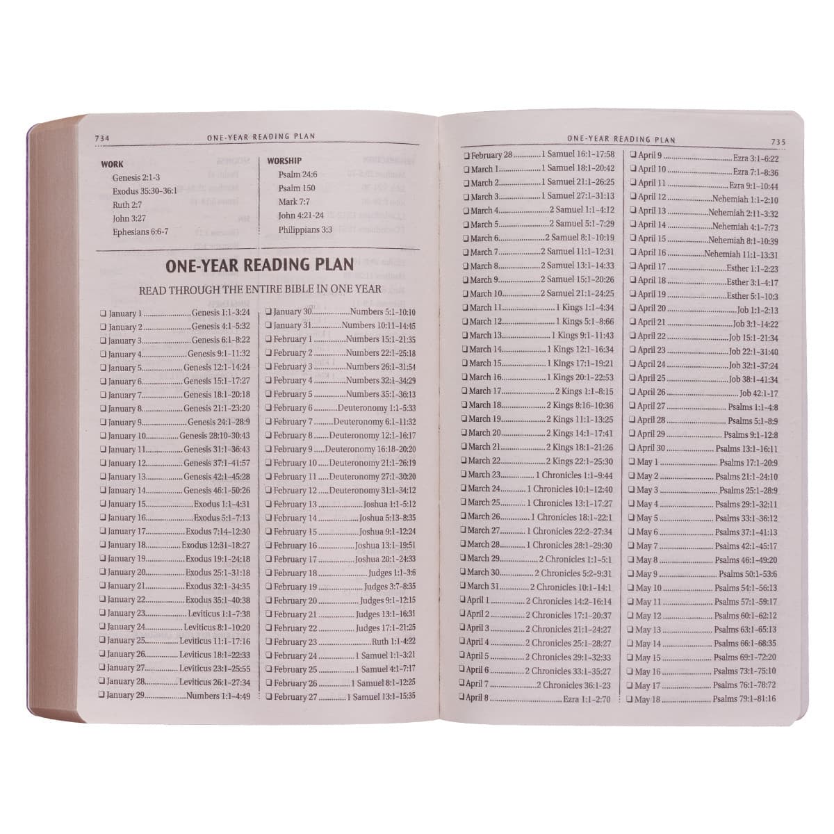 Gold Olive Branch Softcover King James Version Outreach Bible, picture 5