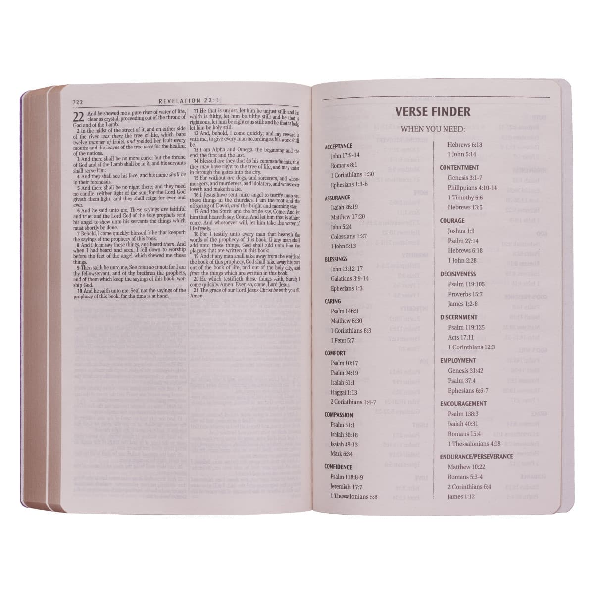 Gold Olive Branch Softcover King James Version Outreach Bible, picture 6