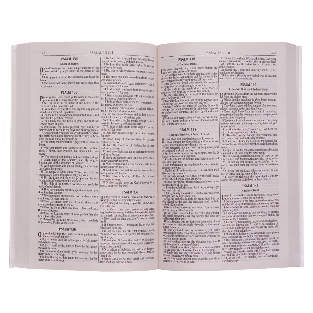 Gold Olive Branch Softcover King James Version Outreach Bible, picture 4