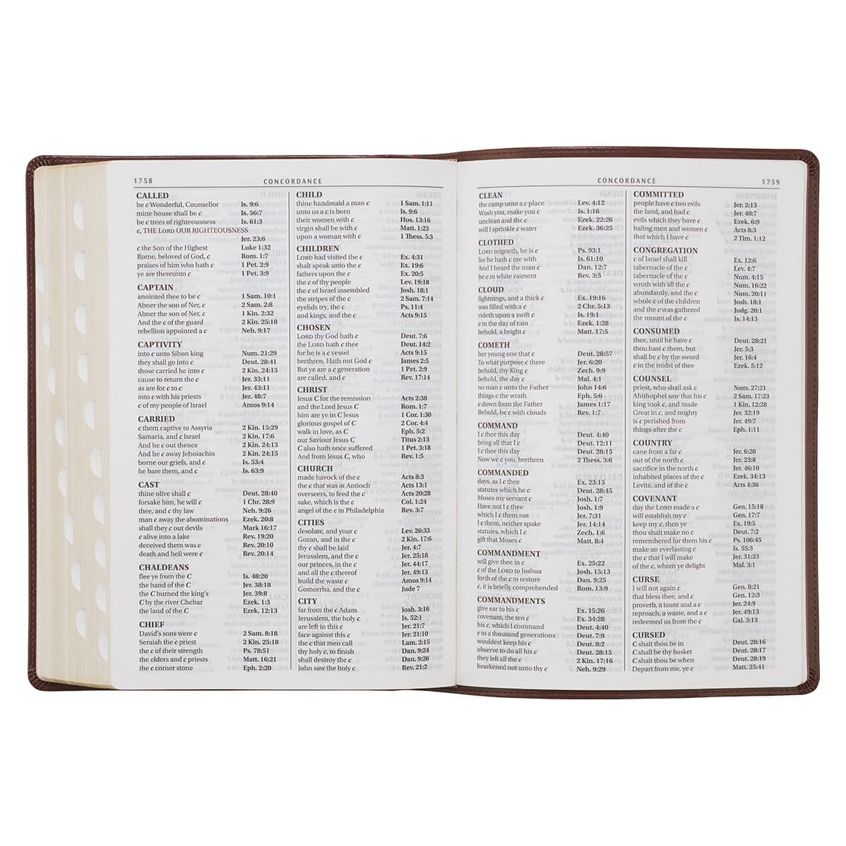 Chestnut Brown Faux Leather Super Giant Print King James Version Bible with Thumb Index, picture 8
