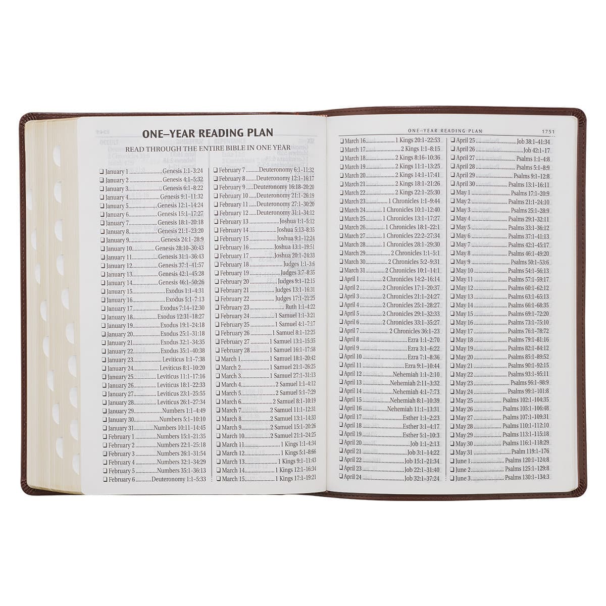 Chestnut Brown Faux Leather Super Giant Print King James Version Bible with Thumb Index, picture 9