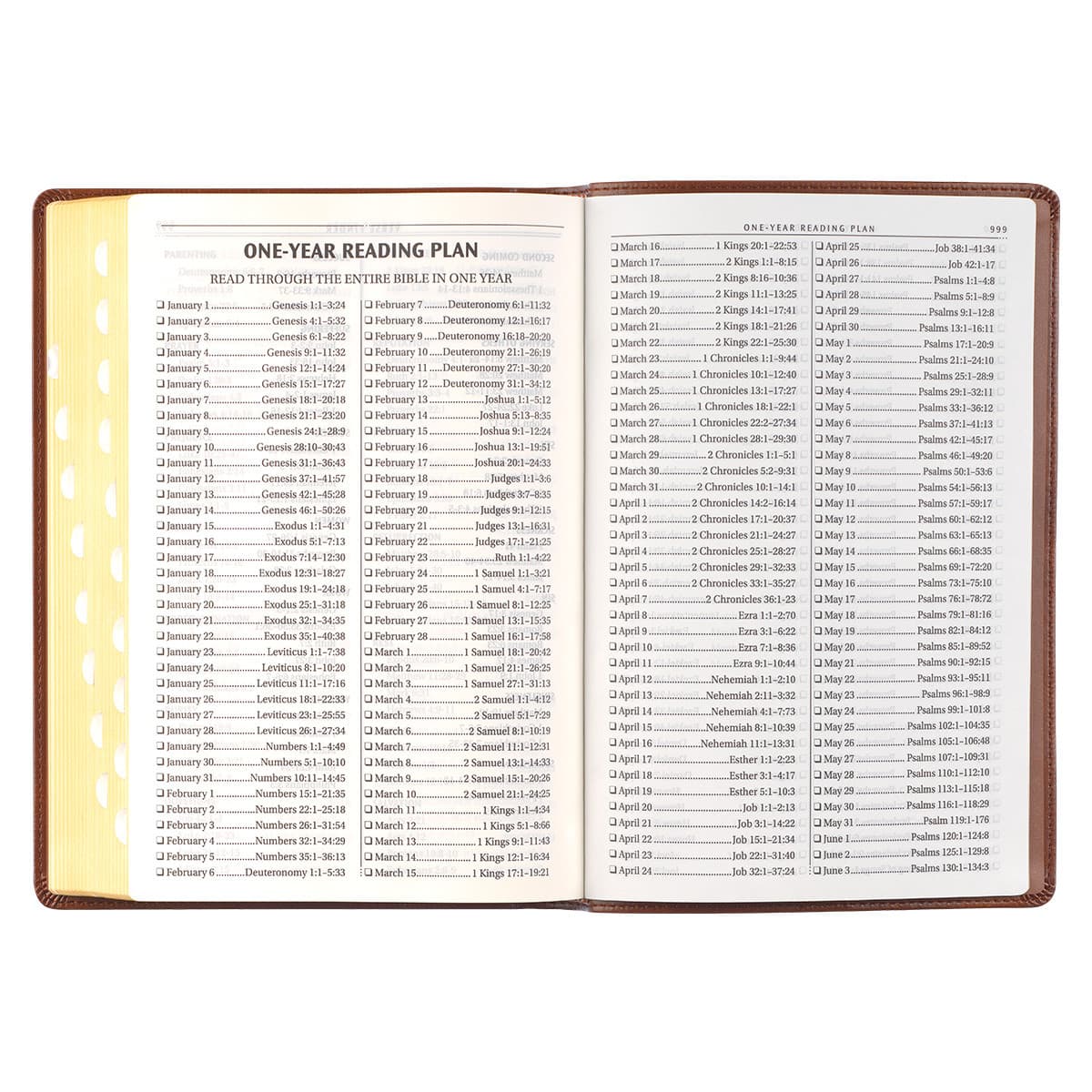 Antiqued Brown Faux Leather Large Print Thinline King James Version Bible with Thumb Index, picture 8