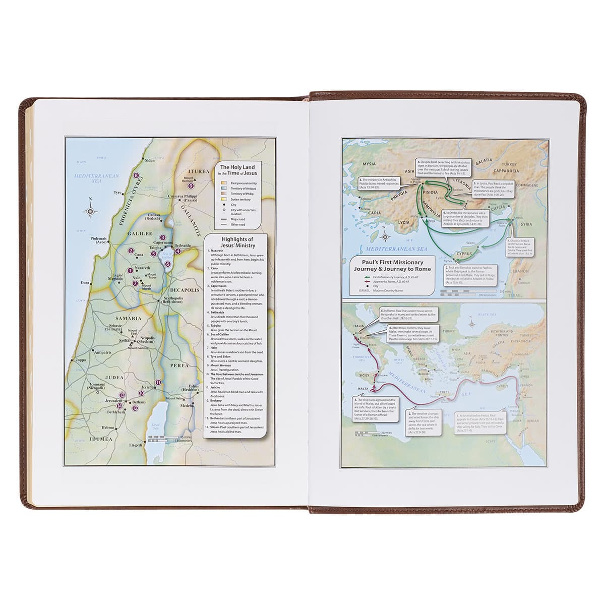 Antiqued Brown Faux Leather Large Print Thinline King James Version Bible with Thumb Index, picture 6