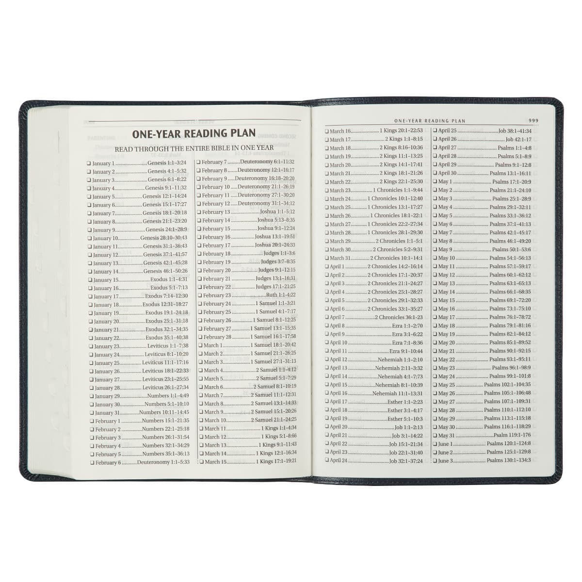 Blue Faux Leather Large Print Thinline King James Version Bible with Thumb Index, picture 8