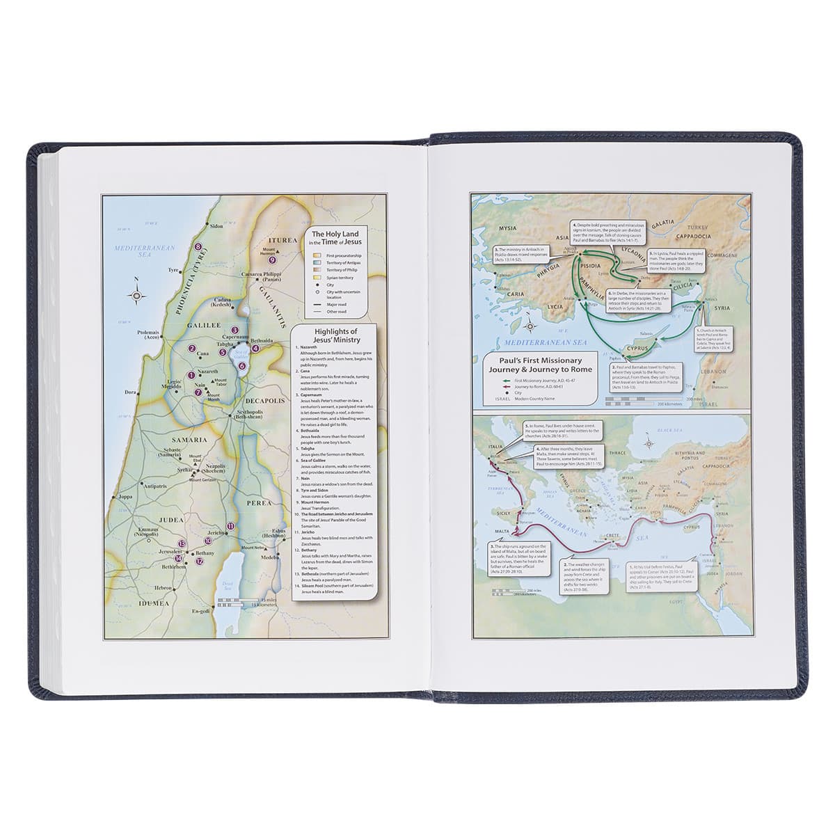 Blue Faux Leather Large Print Thinline King James Version Bible with Thumb Index, picture 6