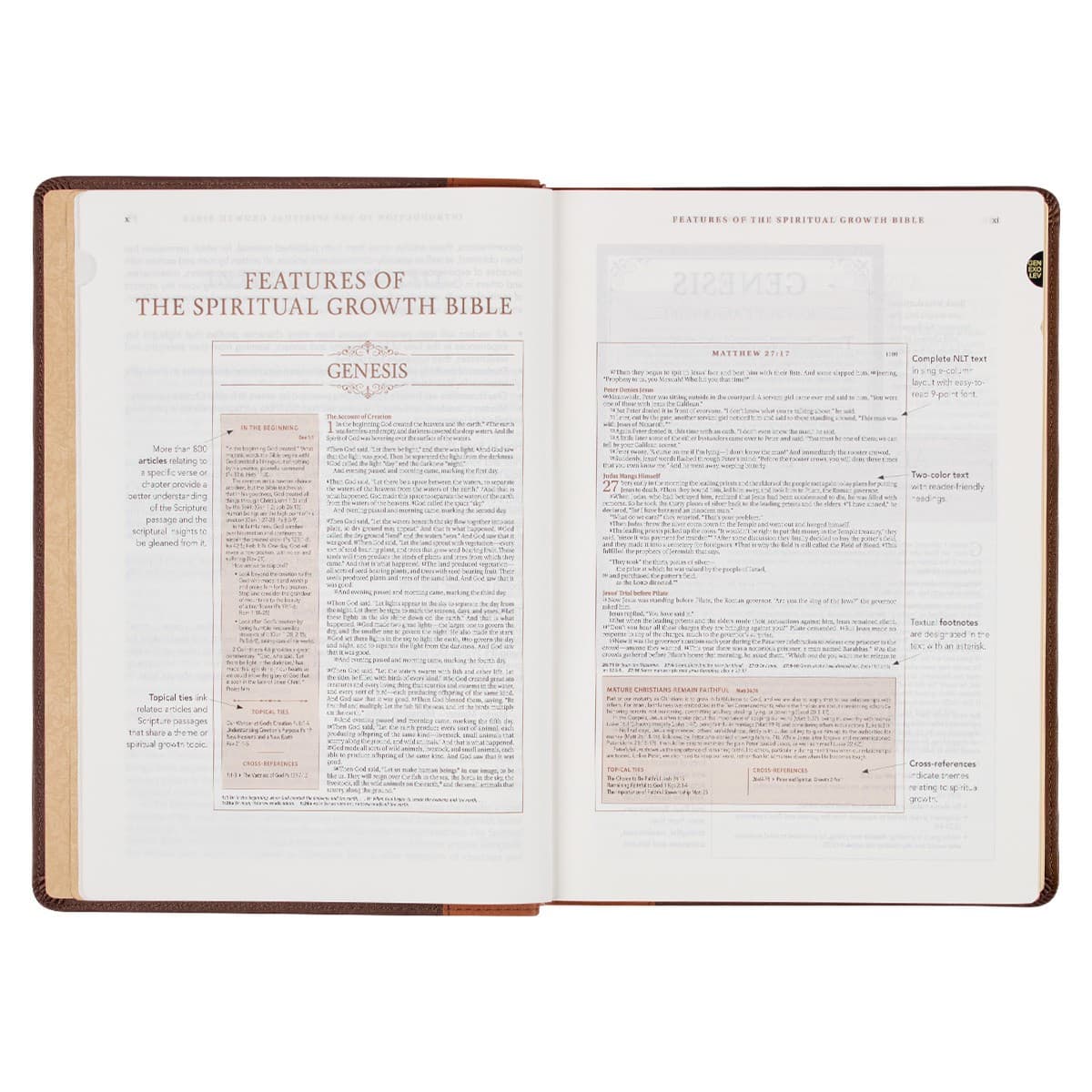 Two-tone Espresso and Toffee Brown Faux Leather Spiritual Growth Bible, picture 5