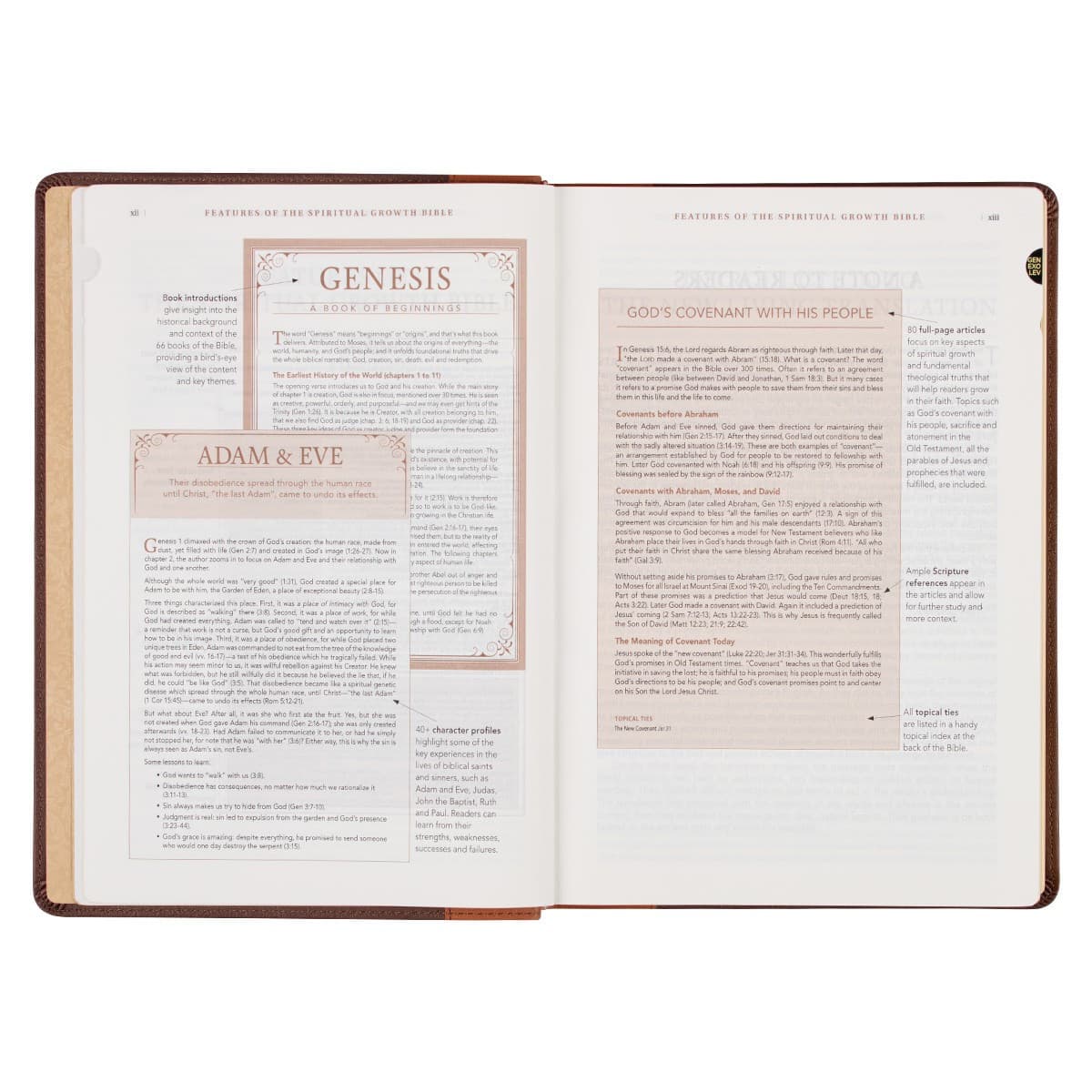 Two-tone Espresso and Toffee Brown Faux Leather Spiritual Growth Bible, picture 6