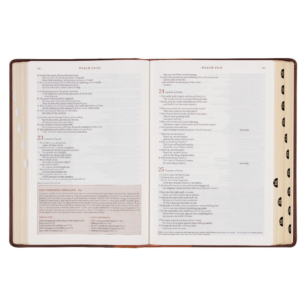 Two-tone Espresso and Toffee Brown Faux Leather Spiritual Growth Bible, picture 8