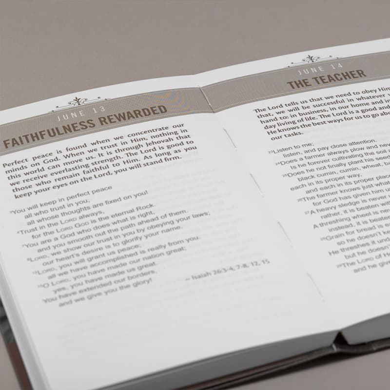 BIBLE IN 366 DAYS FOR MEN OF FAITH, picture 3