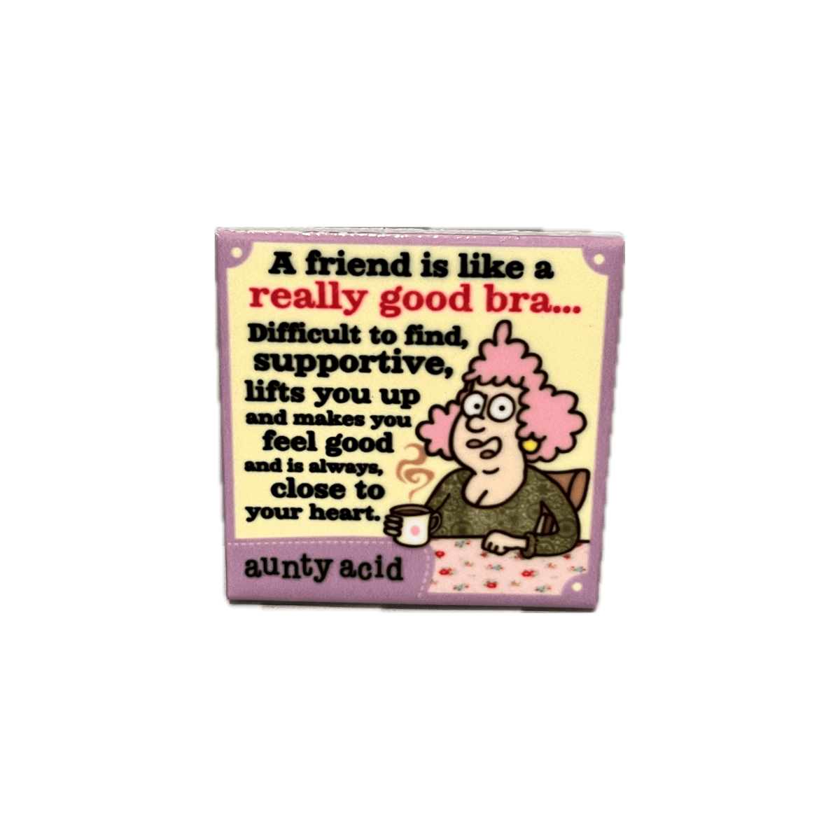 A Friend Is Like A Bra Fridge Magnet