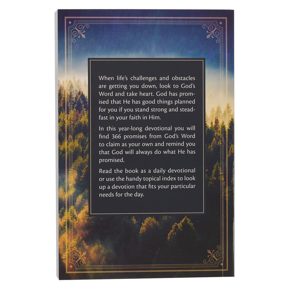 Be Strong and Steadfast Softcover Daily Devotional, picture 2