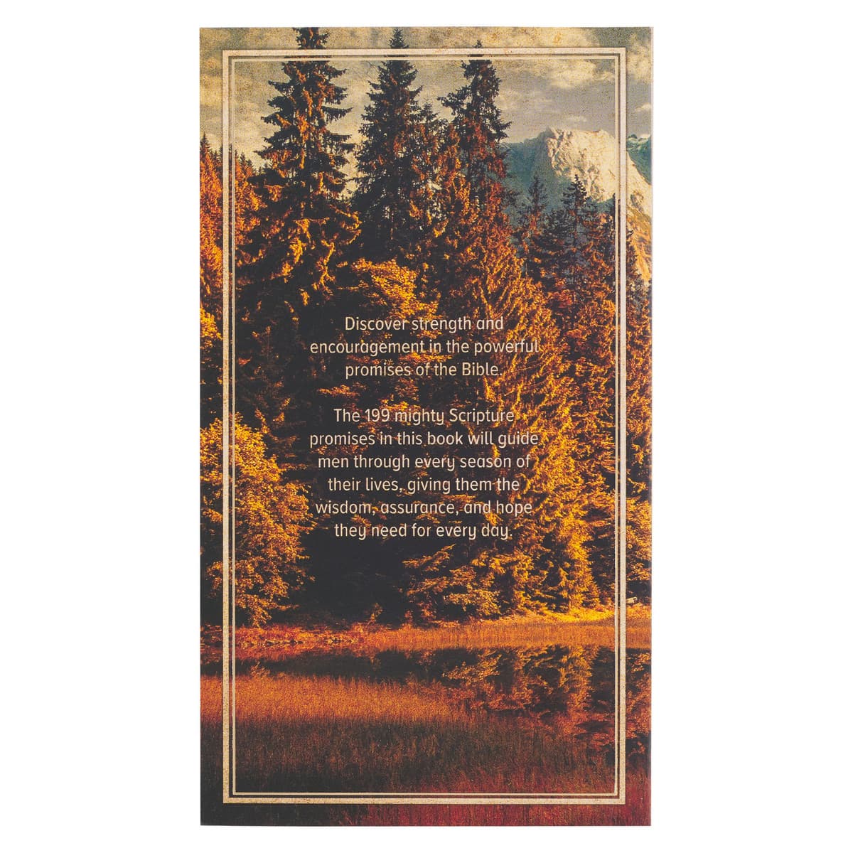 199 Favorite Bible Verses for Men Gift Book, picture 2