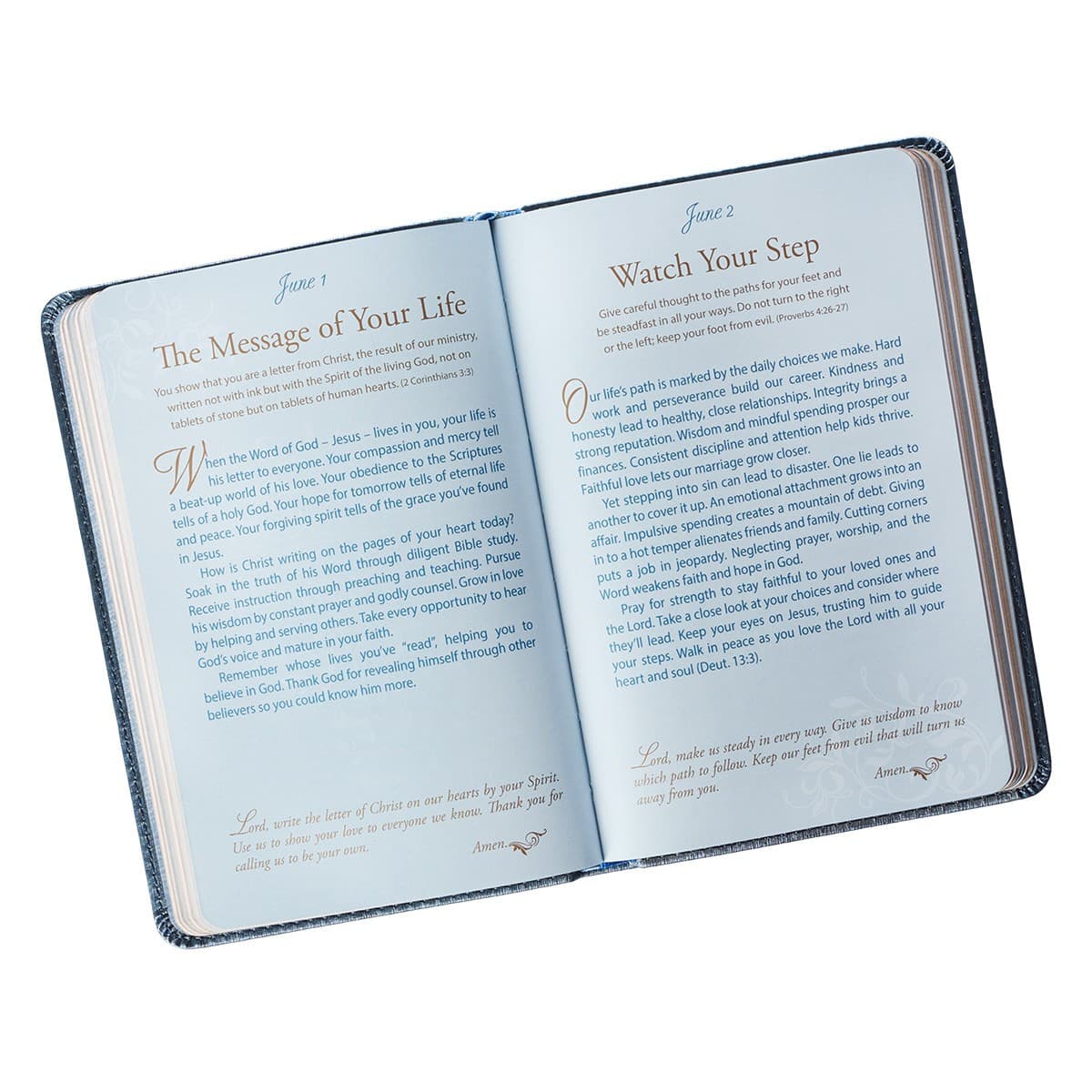 Mr. & Mrs. 366 Devotions for Couples Blue Faux Leather Devotional, picture 5