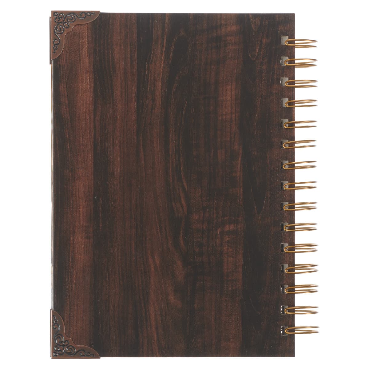 The LORD's Prayer - Matthew 6:9-13 Large Wirebound Journal, picture 2