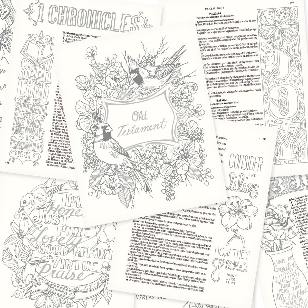 Silky Floral Printed KJV My Creative Bible, picture 7
