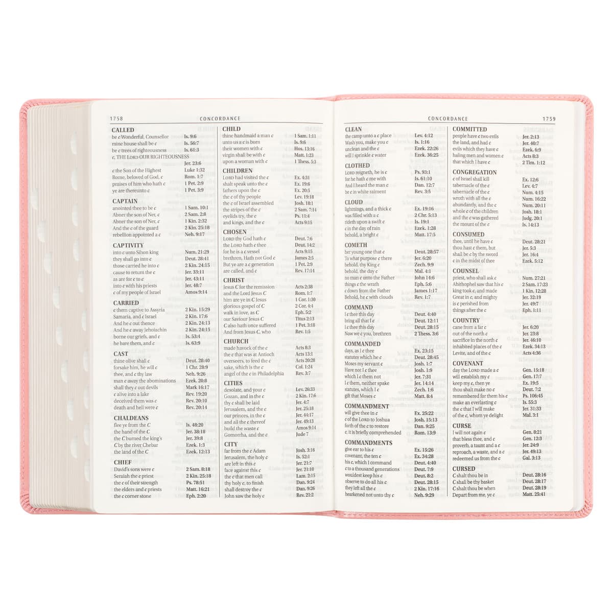 Sunrise Pink Faux Leather Giant Print Standard-size King James Version Bible with Thumb Index, picture 7