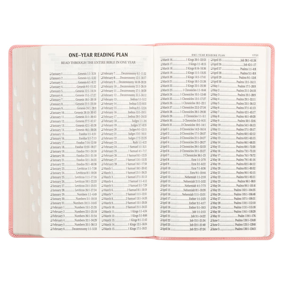 Sunrise Pink Faux Leather Giant Print Standard-size King James Version Bible with Thumb Index, picture 8