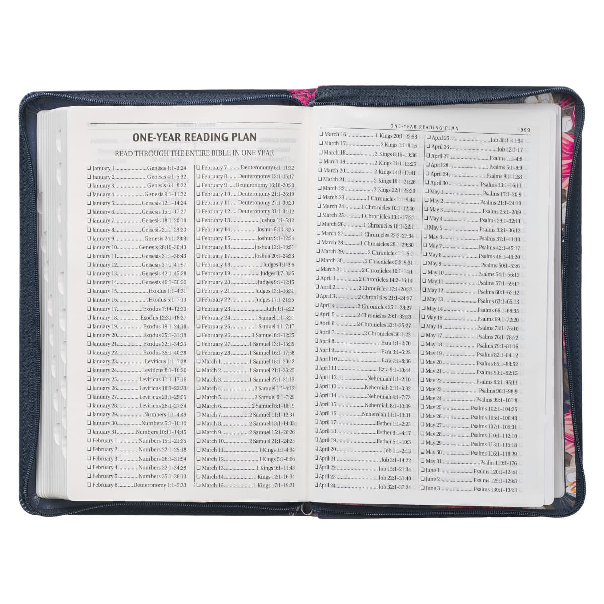 Floral Blue Faux Leather King James Version Deluxe Gift Bible with Thumb Index and Zippered Closure, picture 9