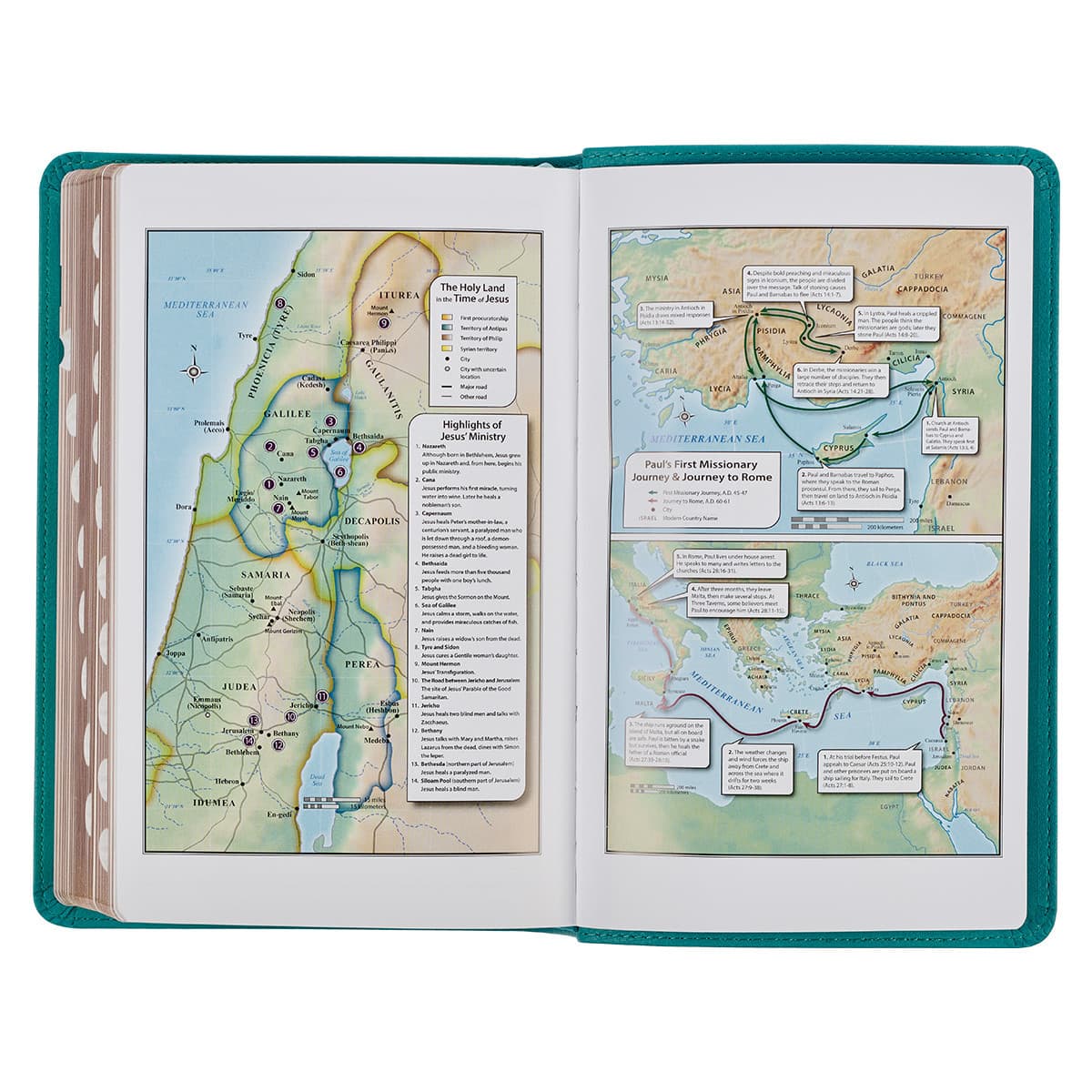 Teal Faux Leather Giant Print Standard-size King James Version Bible with Thumb Index, picture 6