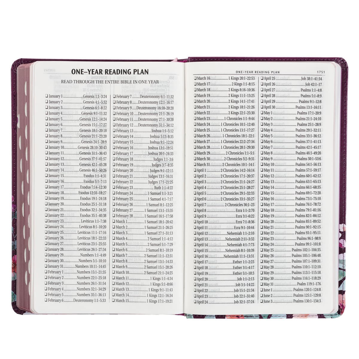 Purple Floral Faux Leather Giant Print Standard-size King James Version Bible with Thumb Index, picture 9