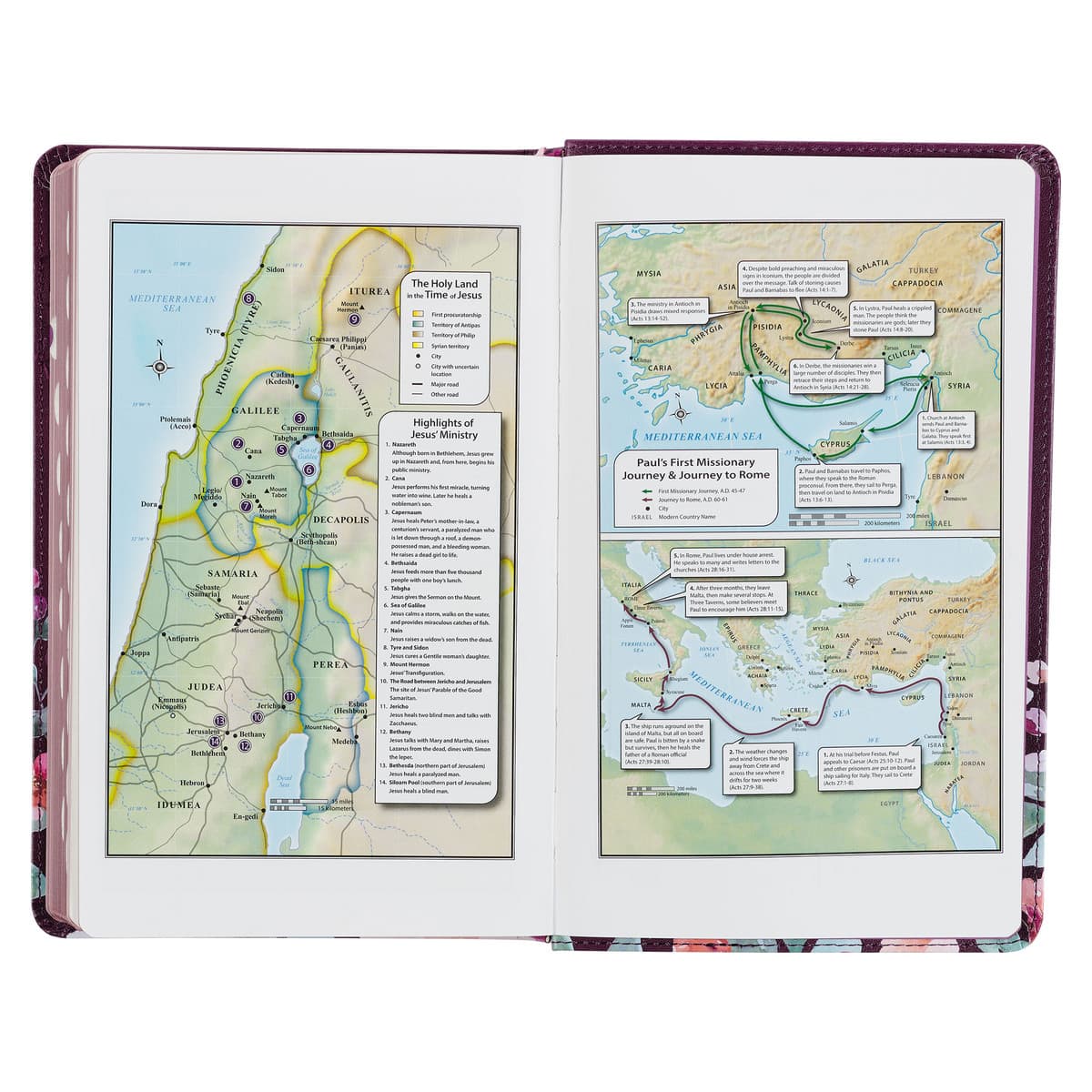 Purple Floral Faux Leather Giant Print Standard-size King James Version Bible with Thumb Index, picture 6