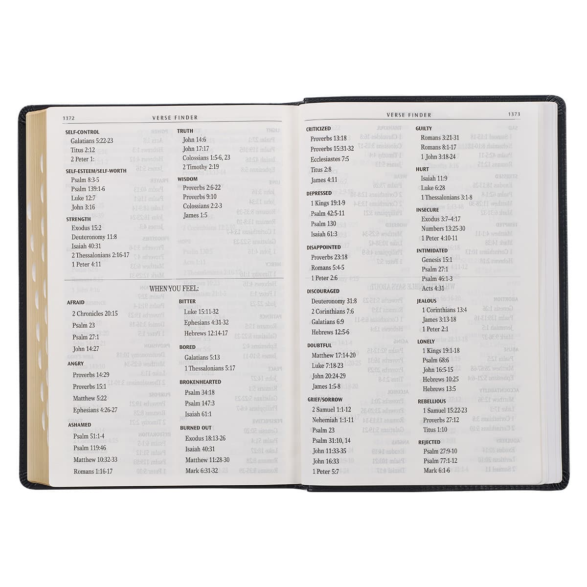 Midnight Blue Art Nouveau Framed Faux Leather Giant Print Full-size King James Version Bible with Thumb Index, picture 9