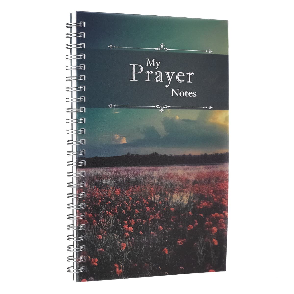 My Prayer Notes Wirebound Notebook, picture 4