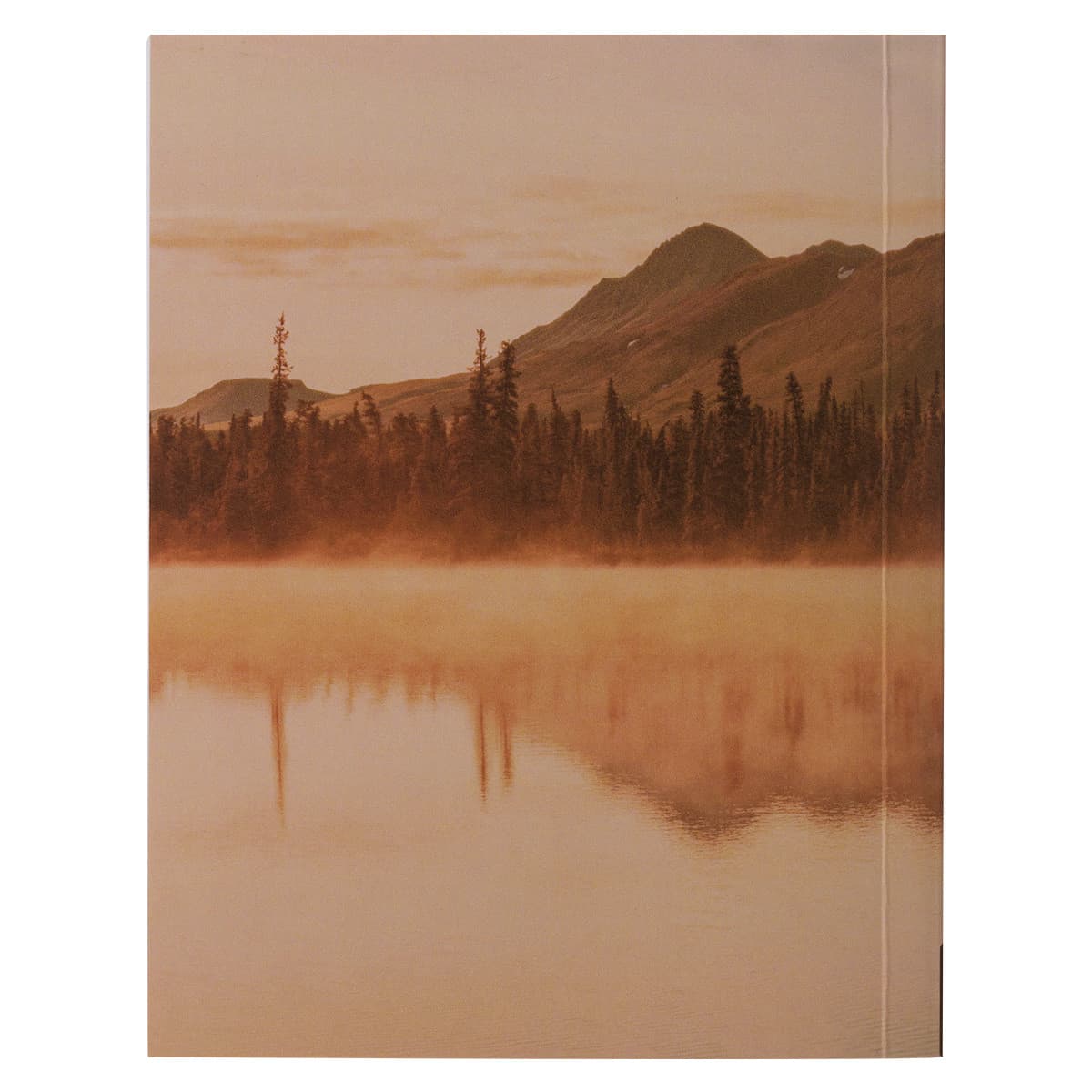 The Power of Prayer Brown Softcover One-minute Devotions, picture 2