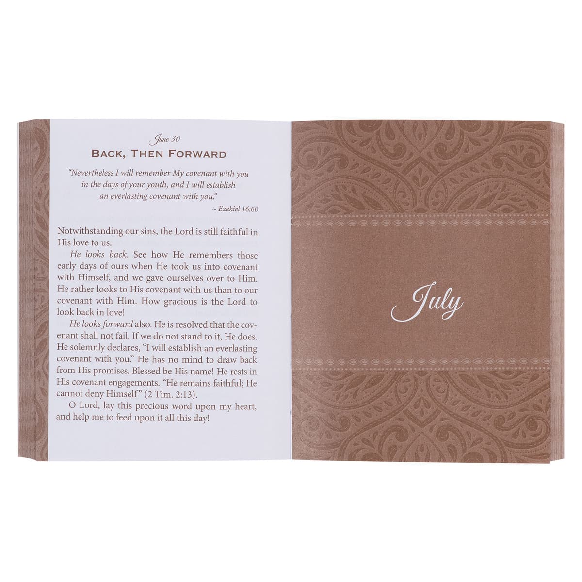 Faith's Checkbook Brown Softcover One-Minute Devotions, picture 5