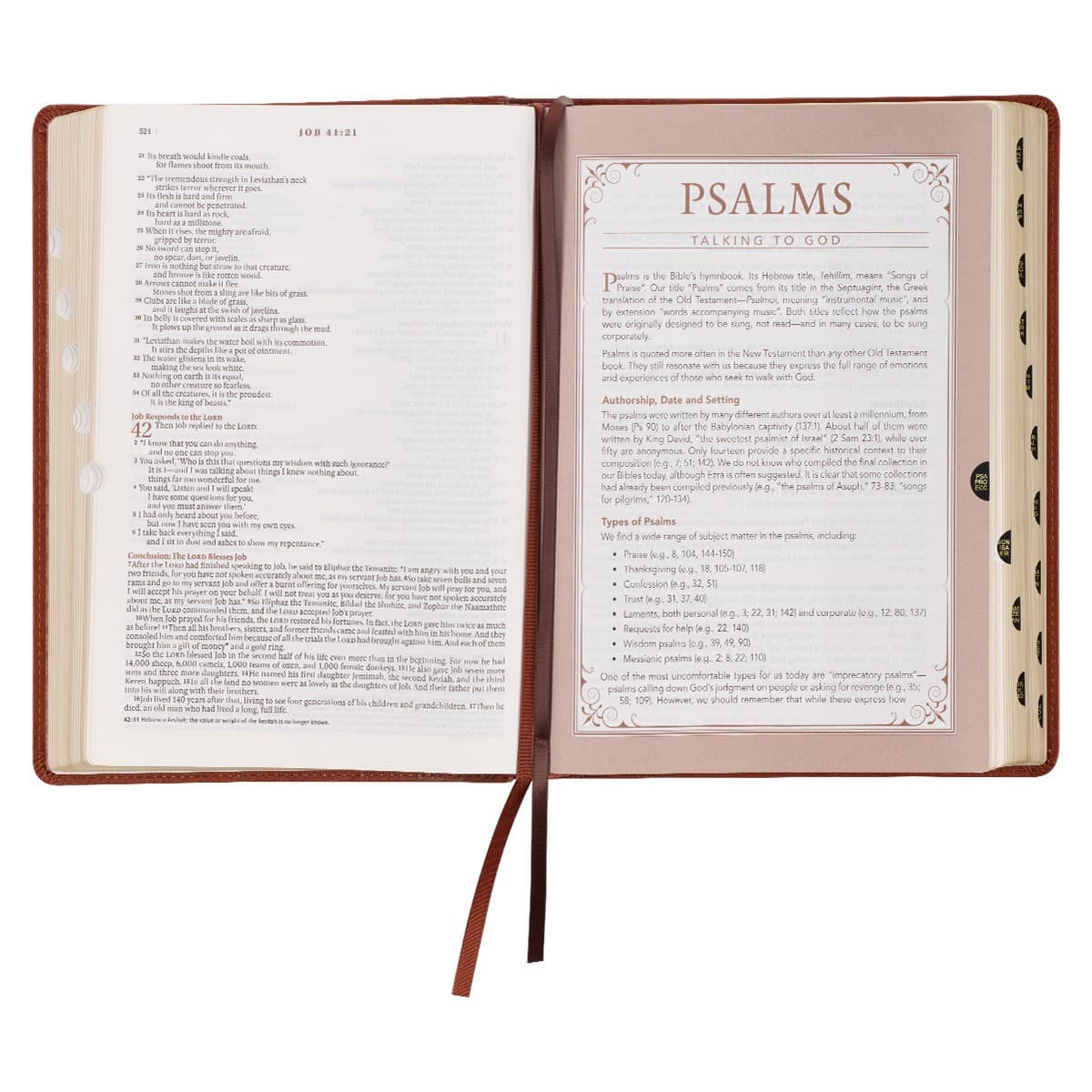 Saddle Tan Faux Leather Spiritual Growth Bible, picture 7
