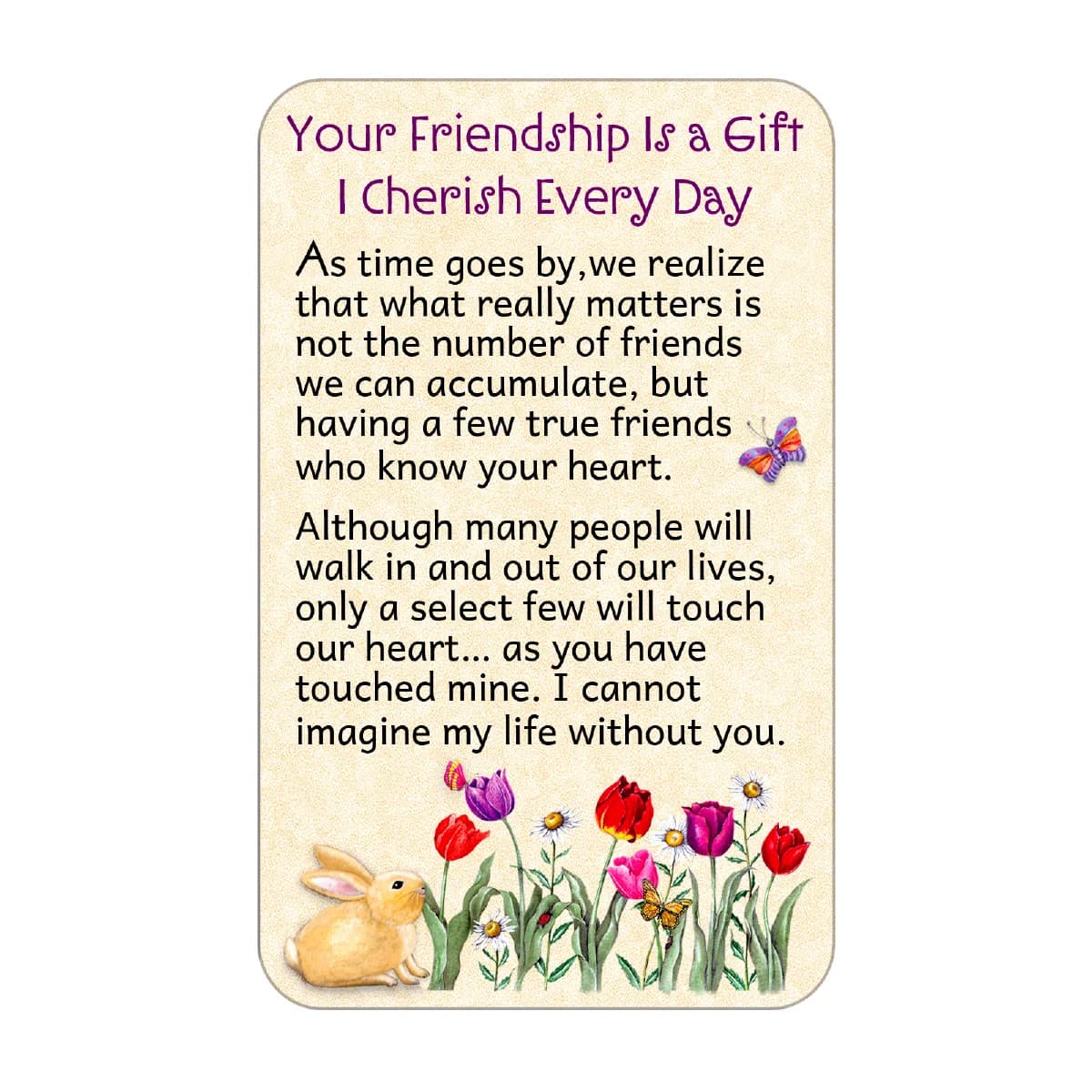 Your Friendship Blue Mountain Arts Wallet Card
