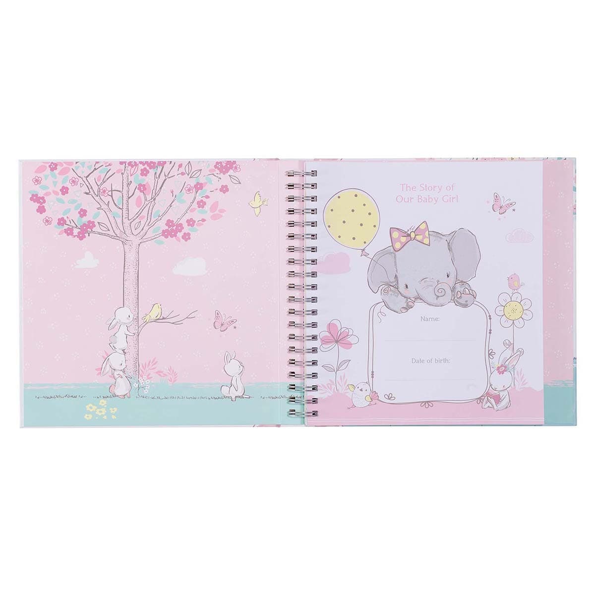 Our Baby Girl's First Year Memory Book, picture 4