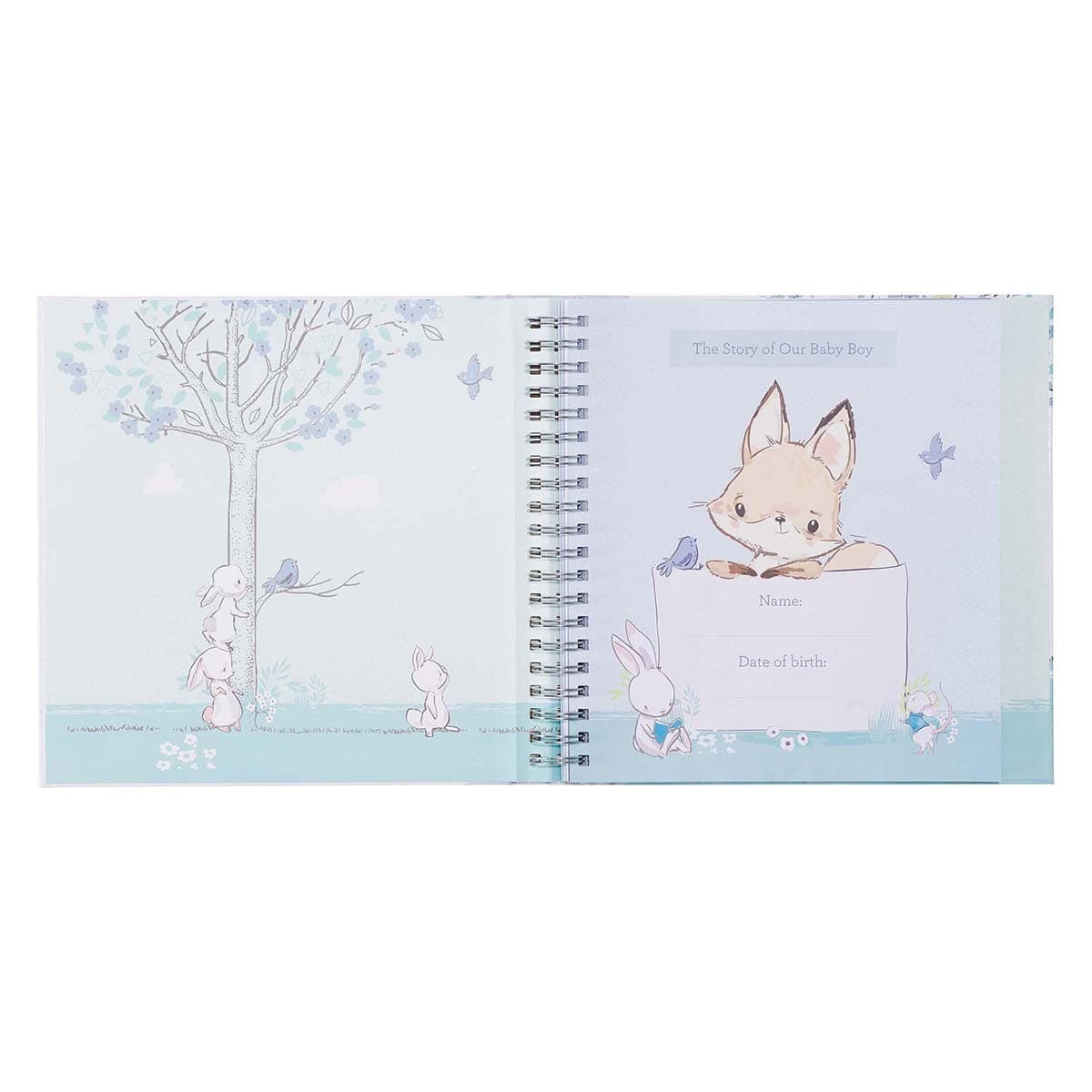 Our Baby Boy's First Year Memory Book, picture 4