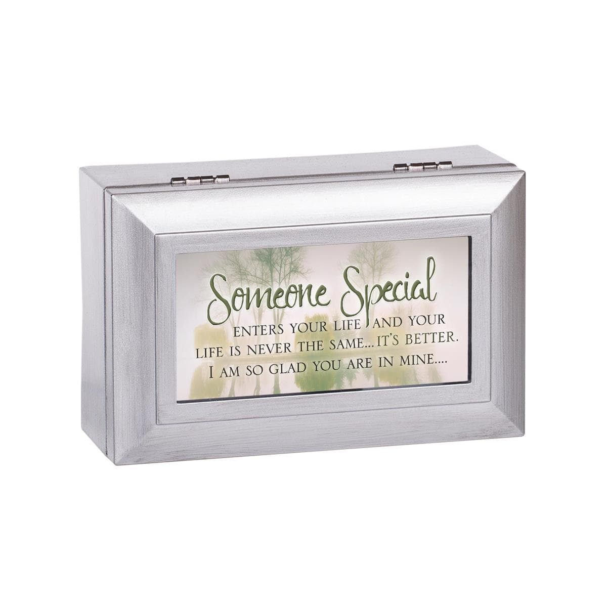 SOMEONE SPECIAL LIFE IS PETITE MUSICAL JEWELRY BOX, picture 2