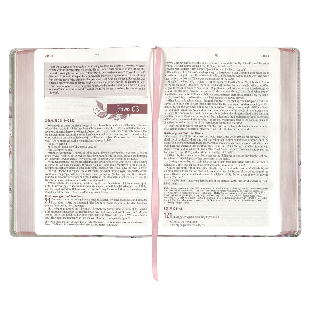 Pearlized Gray Floral Faux Leather NLT Everyday Devotional Bible for Women, picture 4