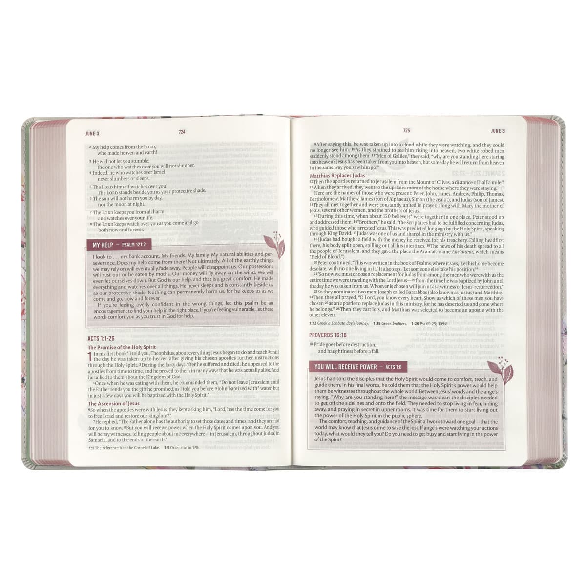 Pearlized Gray Floral Faux Leather NLT Everyday Devotional Bible for Women, picture 5