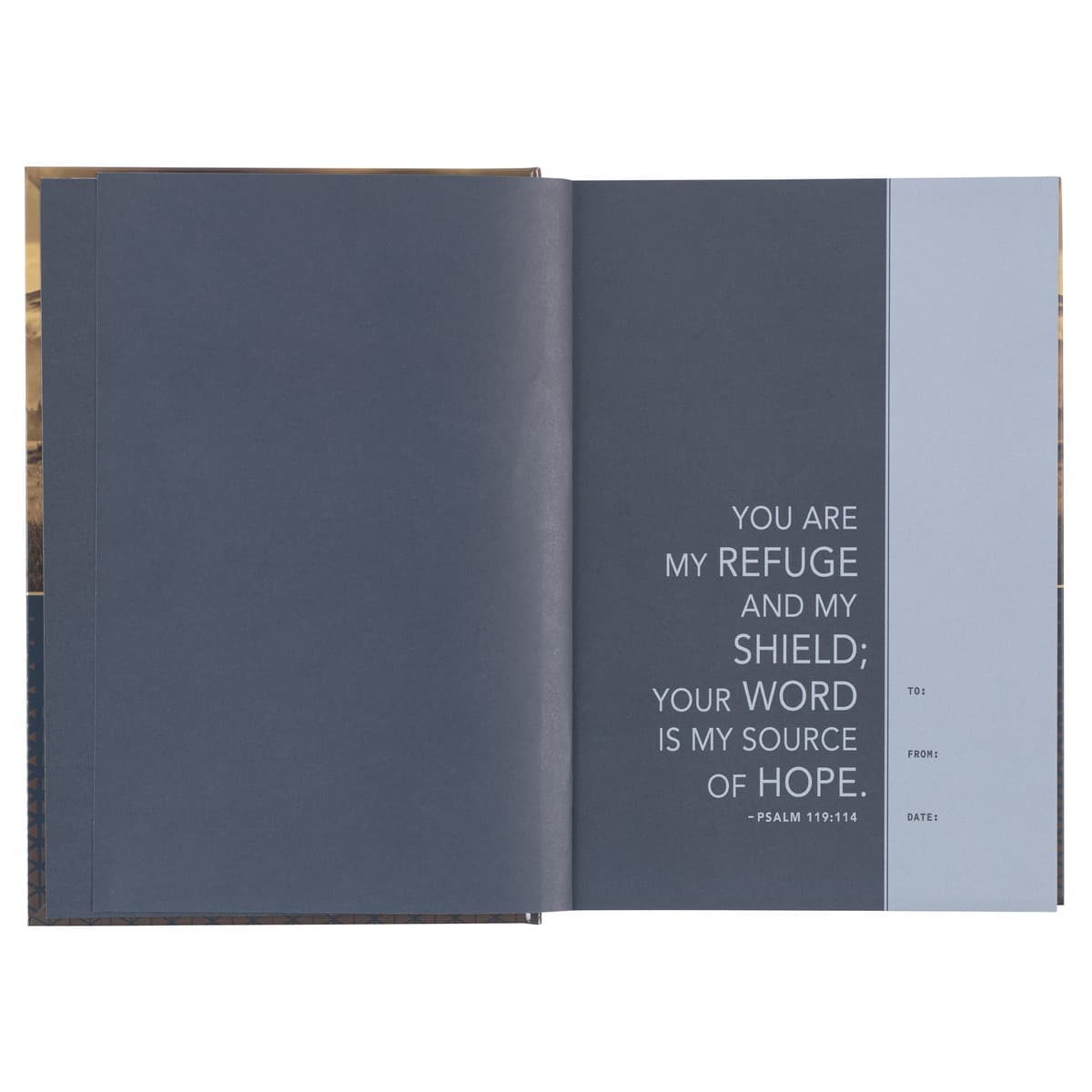 Gold and Navy Mountain View Hardcover NLT Everyday Devotional Bible for Men, picture 3