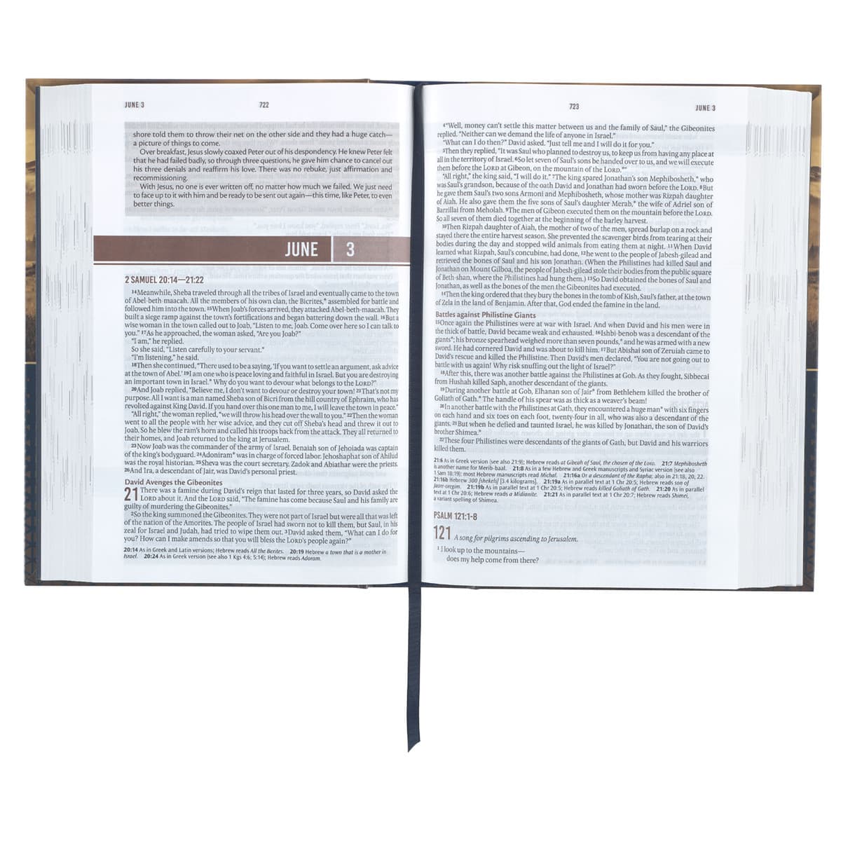Gold and Navy Mountain View Hardcover NLT Everyday Devotional Bible for Men, picture 4