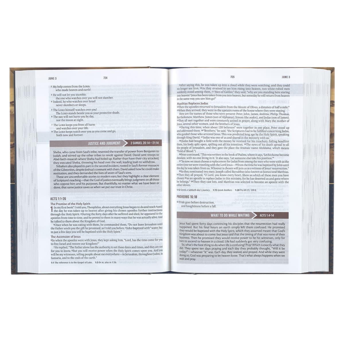 Gold and Navy Mountain View Hardcover NLT Everyday Devotional Bible for Men, picture 5