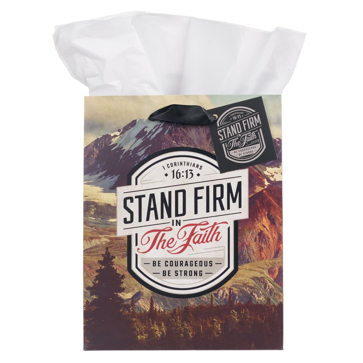 Stand Firm in the Faith - 1 Corinthians 16:14 Mountain View Medium Gift Bag