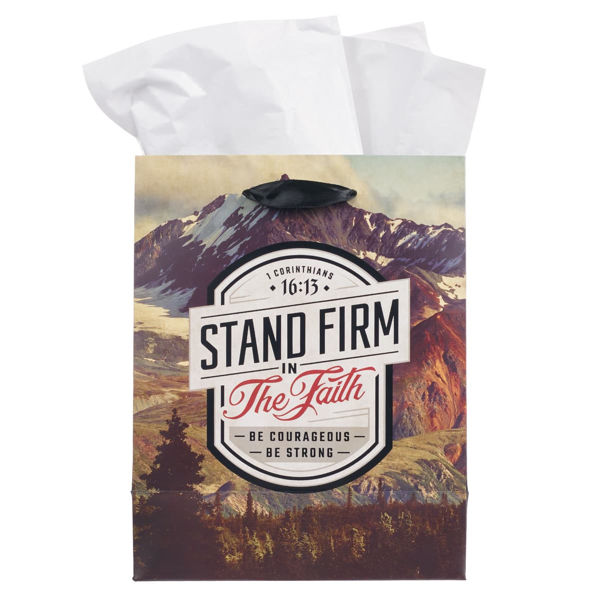 Stand Firm in the Faith - 1 Corinthians 16:14 Mountain View Medium Gift Bag, picture 2