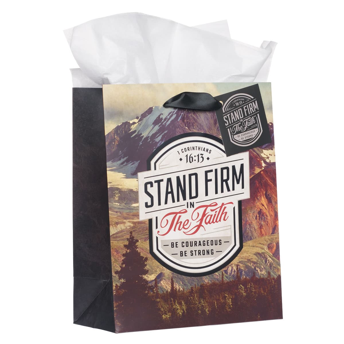 Stand Firm in the Faith - 1 Corinthians 16:14 Mountain View Medium Gift Bag, picture 3