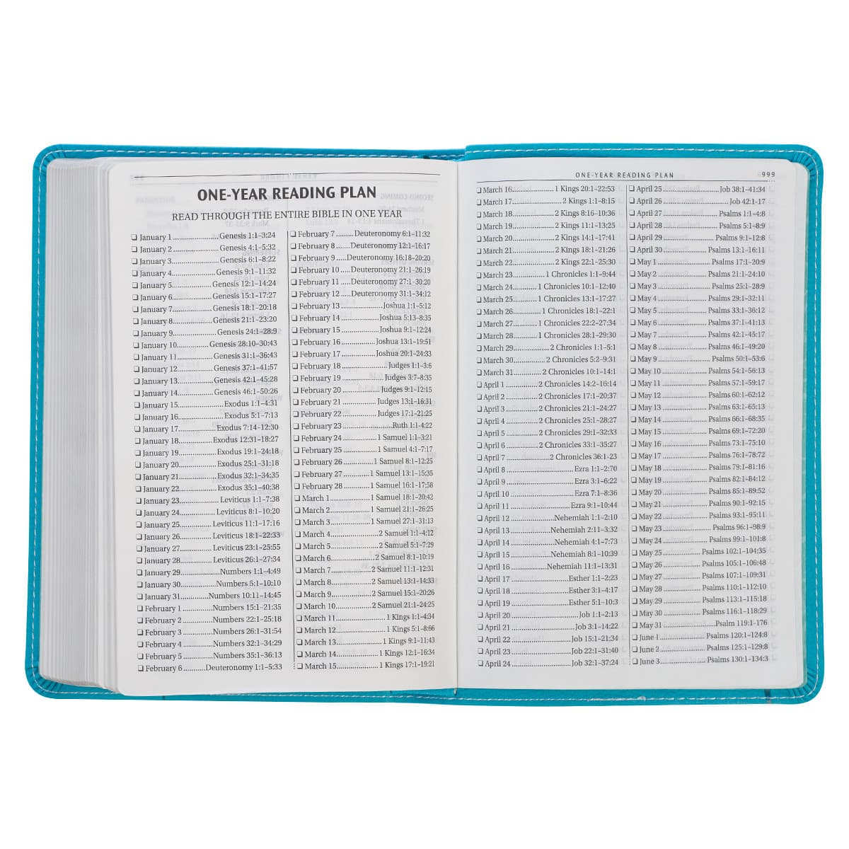 Turquoise Faux Leather Compact King James Version Bible, picture 7