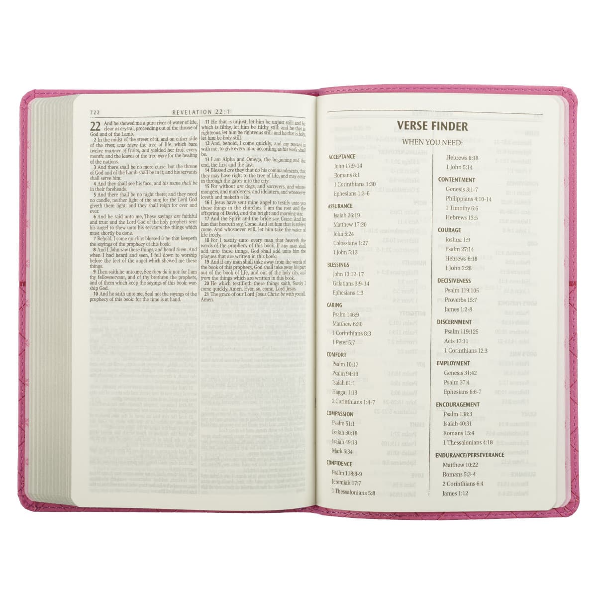 Pink Faux Leather King James Version Gift Edition Bible, picture 6