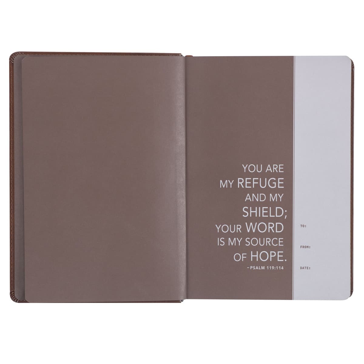 Chestnut Brown Faux Leather NLT Everyday Devotional Bible for Men, picture 3